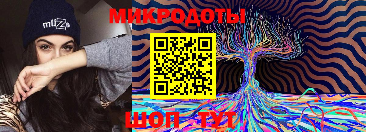 купить   Вход с VPN  Северск  Псилоцибиновые грибы мицелий 