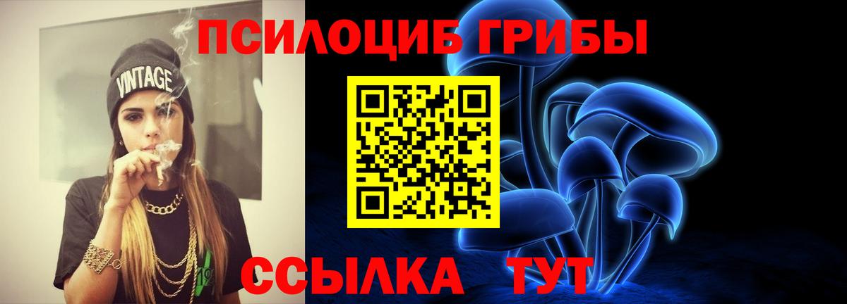 Псилоцибиновые грибы мухоморы Северск